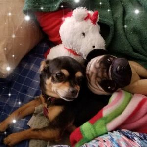 Meet your Posher, Julie